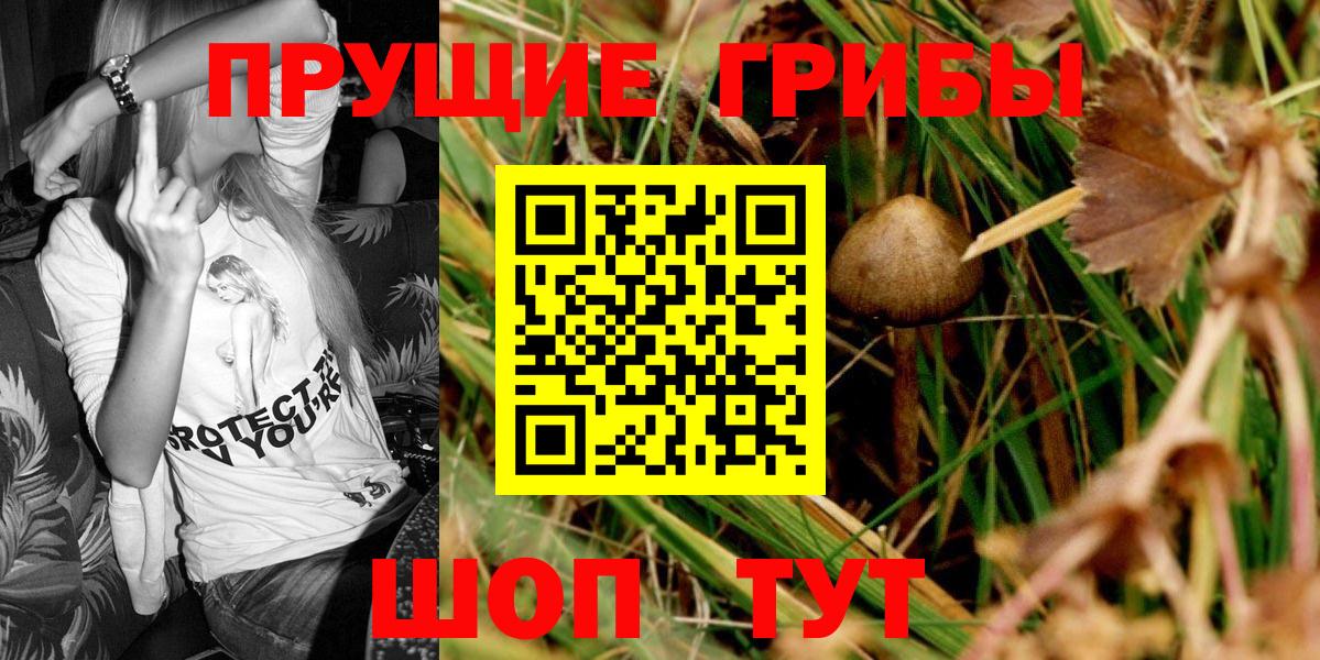 Галлюциногенные грибы мицелий  Галлюциногенные грибы Cubensis  Вход с VPN  Полевской 